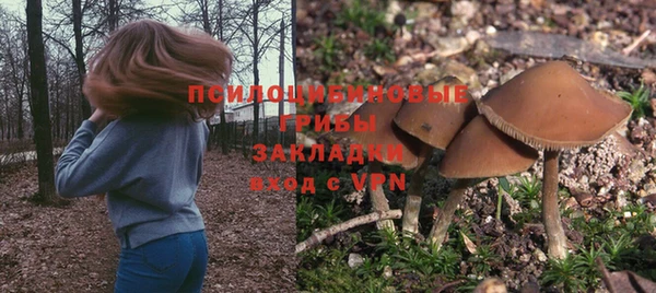 прущая мука Богородицк
