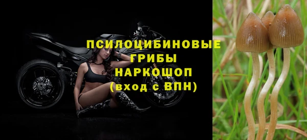 гидропоника Богданович