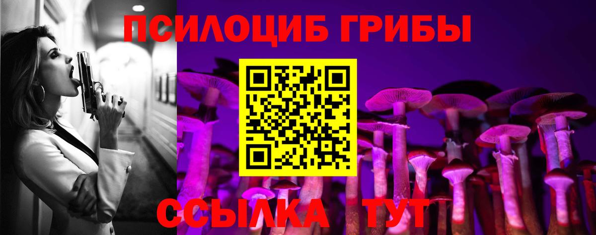 Гудермес  Галлюциногенные грибы Magic Shrooms  купить наркоту  Вход с VPN  Галлюциногенные грибы ЛСД 