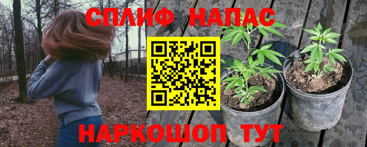 Бошки Шишки тримм  МАРИХУАНА THC 21%  Гудермес  МАРИХУАНА ГИДРОПОН  Вход с VPN 